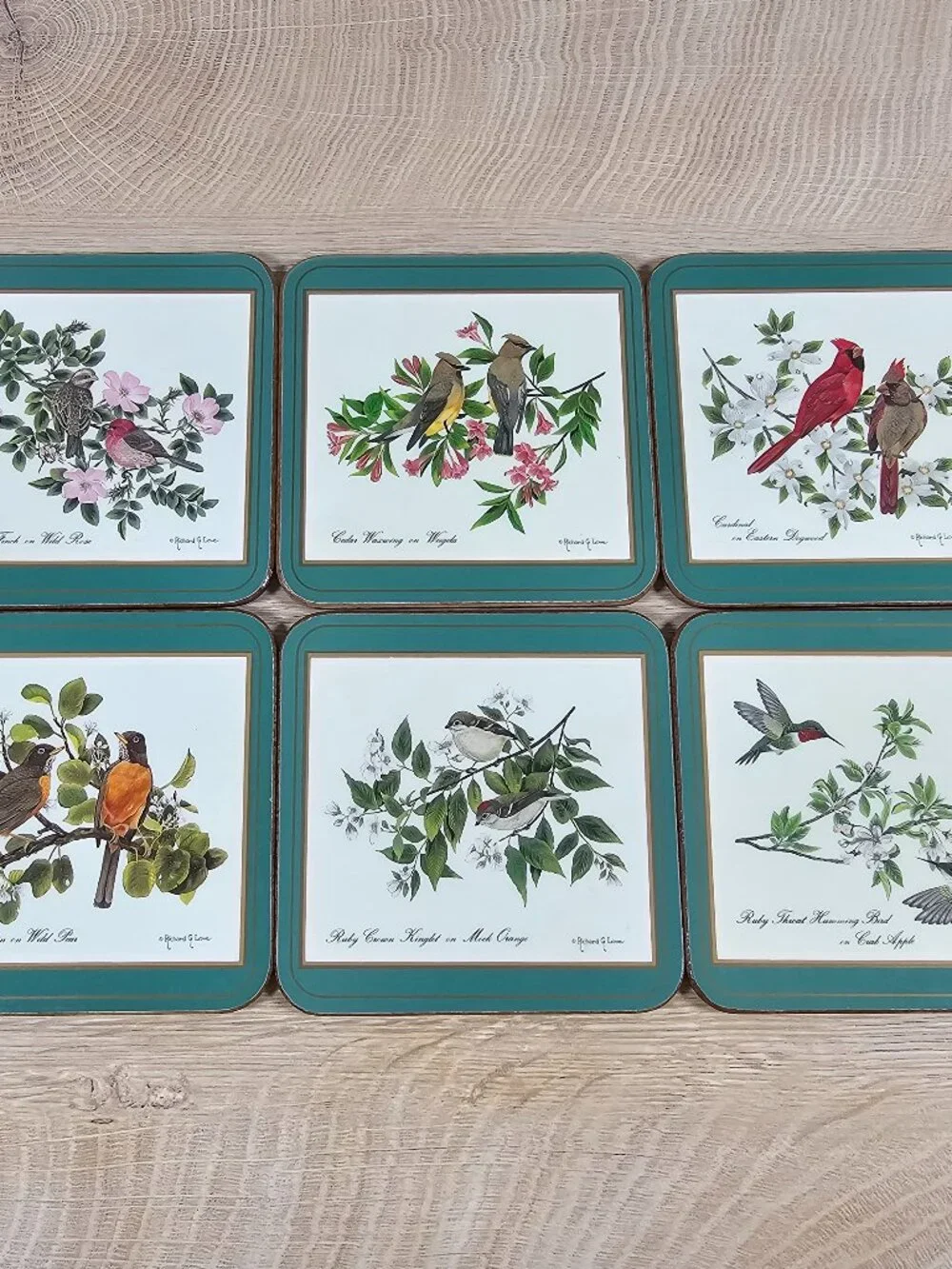 Pimpernel Coasters Set of 6 Birds Cork Back Green Richard G Lowe Made in England